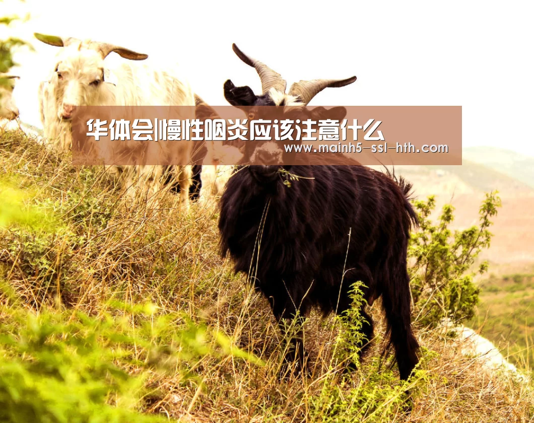 华体会|慢性咽炎应该注意什么(图3) 华体会