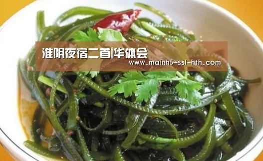 淮阴夜宿二首|华体会(图1) 淮阴夜宿二首|华体会(图1)